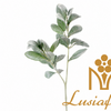 Artificial Flocked Lamb's Ear Leaf Stem 65cm Faux Silver Green Lamb Ear Foliage Spray for Wedding Bouquet Filler Home Vase Decor Wholesale