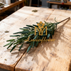 Artificial Single Stem Preserved Melaleuca 50cm Faux Eternal Green Foliage Spray for Wedding Bouquet Filler Home Vase Decor Wholesale