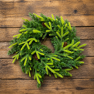 Rustic Style PE Decorative Garlands Artificial Pine Christmas Vine Simulation Garland Indoor Outdoor Decoration