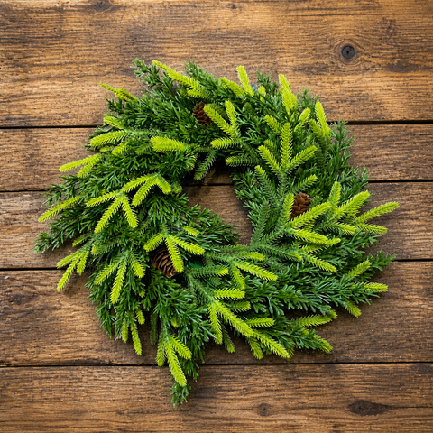 Rustic Style PE Decorative Garlands Artificial Pine Christmas Vine Simulation Garland Indoor Outdoor Decoration
