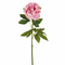 pink&purpl