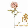 Artificial Single Stem Small Matte Dried Rose 66cm Faux Apricot Vintage Rose with Withered Leaves for Rustic Wedding Home Decor Wholesale