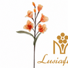 Artificial 5 Head Apricot Magnolia Protea Stem 80cm Faux Warm Peach Small Bloom Branch with Leaves for Boho Wedding Home Vase Decor Wholesale