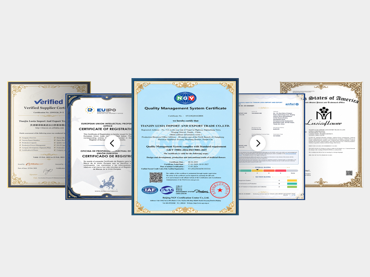 Certified Quality You Can Trust
