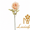 Artificial Single Stem Small Matte Dried Rose 66cm Faux Apricot Vintage Rose with Withered Leaves for Rustic Wedding Home Decor Wholesale