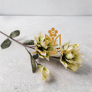 Artificial Calla Lily Protea Stem 100cm Faux Pale Yellow Green 2 Blooms with Buds for Rustic Boho Wedding Home Vase Decor Wholesale