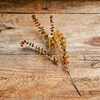 Artificial 5 Forks Mini Eucalyptus Stem 82cm Faux Autumn Orange-Green Eucalyptus Spray with Dried Texture for Rustic Wedding Home Vase Decor Wholesale
