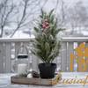 47cm Flocked Snow Mini Artificial Christmas Tree with Red Berries Potted Small Frosted Pine Tabletop Tree Farmhouse Winter Holiday Desktop Decor Wholesale