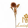 Artificial Dried Look Spiky Ball Stem 63cm Faux Brown Thistle Bloom with Withered Leaves for Rustic Autumn Wedding Decor Wholesale