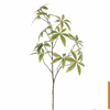 Artificial Money Leaf Single Stem 80cm Faux Fortune Tree Greenery Branch With Palmate Leaves for Wedding Centerpiece Bridal Arch Home Vase Decor Wholesale