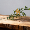 Artificial Single Stem Staghorn Fern 60cm Faux Deer Horn Fern Greenery Spray for Wedding Bouquet Filler Home Vase Decor Wholesale