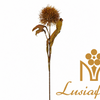 Artificial Dried Look Spiky Ball Stem 63cm Faux Brown Thistle Bloom with Withered Leaves for Rustic Autumn Wedding Decor Wholesale