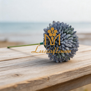 Artificial Single Stem Globe Allium Flower 26cm Faux Dusty Blue Ball Chrysanthemum Stem for Wedding Bouquet Filler Home Vase Decor Wholesale