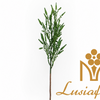 Artificial Single Stem Preserved Melaleuca 50cm Faux Eternal Green Foliage Spray for Wedding Bouquet Filler Home Vase Decor Wholesale