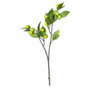 Artificial Green Olive Branch with Fruit Faux Olive Stem with Leaves for Home Vase Floral Arrangement Farmhouse Wedding Decor Wholesale