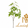 Artificial Money Leaf Single Stem 80cm Faux Fortune Tree Greenery Branch With Palmate Leaves for Wedding Centerpiece Bridal Arch Home Vase Decor Wholesale