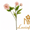50cm White Pink Tipped Artificial Peony Single Stem Faux 3 Heads Peony Flower Branch For Vase Arrangement Wedding Table Centerpiece Bridal Backdrop Home Party Event Decor Wholesale