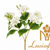 Artificial 6 Fork Hydrangea Flower Bouquet 42cm Faux White Hydrangea Bush With Green Leaves for Wedding Centerpiece Home Vase Decor Wholesale